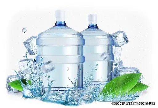 Бутлі з водою та льодом