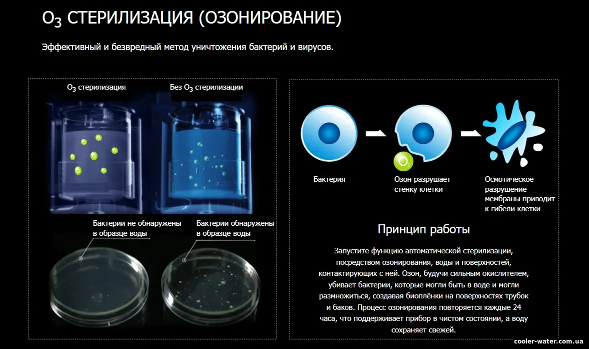 Принцип роботи самоочистки озонацією HotFrost V450ASM